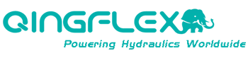 Logo Qingflex